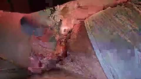 Snapshot of nurod chatting on 01/03/25, 05:17 nurod online show from 01/03/25, 05:17