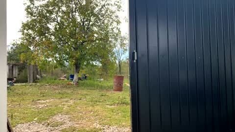 Nicol online show from 09/19/25, 07:21