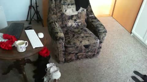 Strumpfhose online show from 04/16/26, 07:31