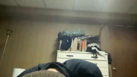 harvestmoon online show from 03/22/26, 05:55