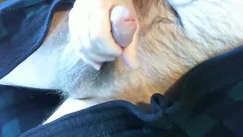 Snapshot of o269x2 chatting on 02/13/25, 06:38 o269x2 online show from 02/13/25, 06:38