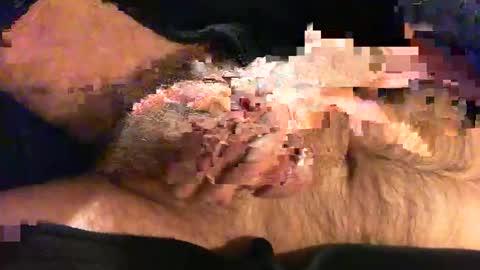 Snapshot of o269x2 chatting on 11/09/25, 10:46 o269x2 online show from 11/09/25, 10:46