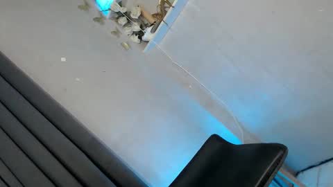 obeymycurves online show from 01/11/26, 02:49