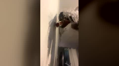 Snapshot of octavia_cd chatting on 12/14/25, 09:03 Kira online show from 12/14/25, 09:03