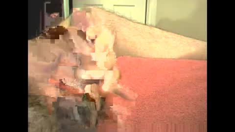 odinswarrior online show from 02/28/26, 03:46