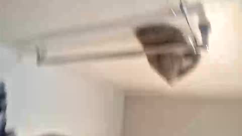 odz9ind online show from 02/05/26, 07:29