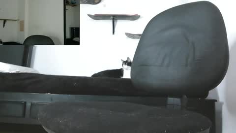 Zack online show from 05/13/26, 03:48