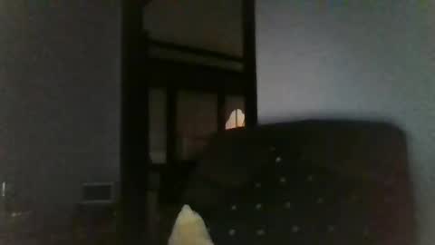 Snapshot of office_slr chatting on 12/26/24, 07:45 Officer online show from 12/26/24, 07:45