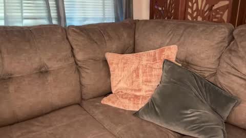 Tams online show from 09/09/25, 03:11