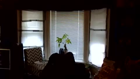 oscar flores online show from 02/24/26, 01:42