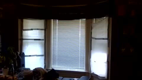 oscar flores online show from 04/06/26, 01:12