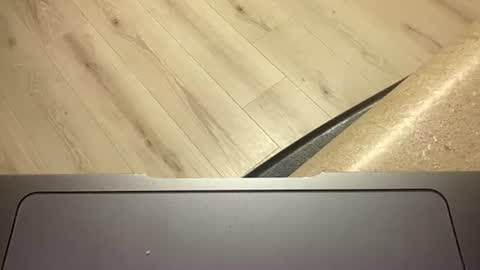 Snapshot of ofthatguy chatting on 10/24/25, 02:30 ofthatguy online show from 10/24/25, 02:30