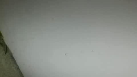 oggi95 online show from 06/17/26, 05:58