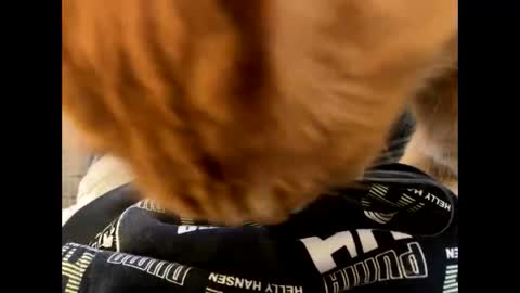 Snapshot of oggs48 chatting on 10/21/25, 11:22 oggs48 online show from 10/21/25, 11:22