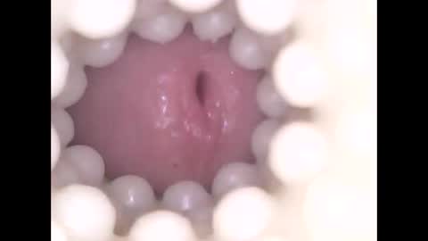 ohioguy4201985 online show from 04/17/26, 10:24