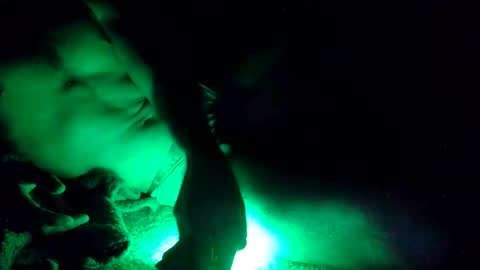 oibrev49 online show from 03/21/26, 09:03