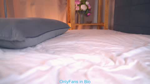 Snapshot of oke_doke chatting on 11/30/25, 07:29 Henrietta or Rita online show from 11/30/25, 07:29