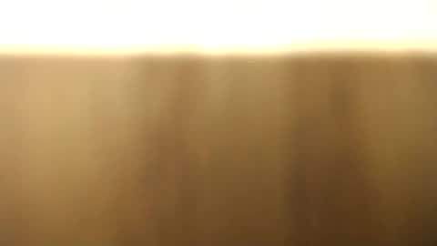 okoro1212 online show from 11/28/25, 01:08