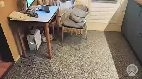 oldersagger online show from 11/05/25, 04:18