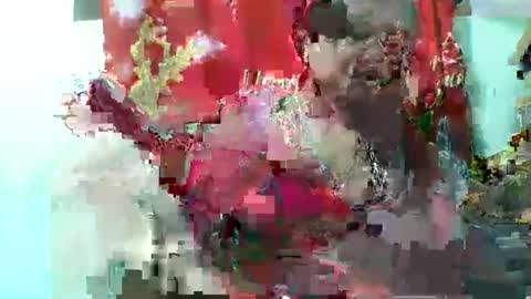 olgaaldy online show from 11/20/25, 08:03