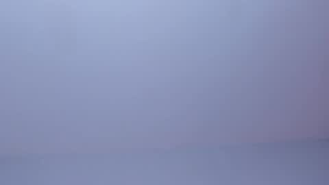 OLIVIA online show from 03/31/26, 02:35