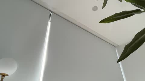 Snapshot of oliviabrookess chatting on 11/27/25, 08:44 Olivia Brookes online show from 11/27/25, 08:44