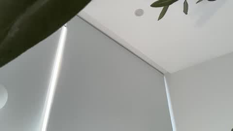 Snapshot of oliviabrookess chatting on 11/30/25, 09:19 Olivia Brookes online show from 11/30/25, 09:19