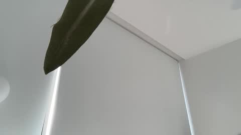 Snapshot of oliviabrookess chatting on 12/04/25, 07:55 Olivia Brookes online show from 12/04/25, 07:55