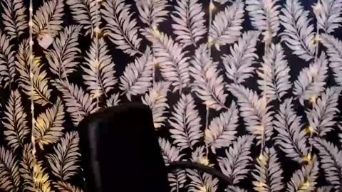 Snapshot of oliviaoskar_ chatting on 01/06/25, 12:13 Kelly online show from 01/06/25, 12:13