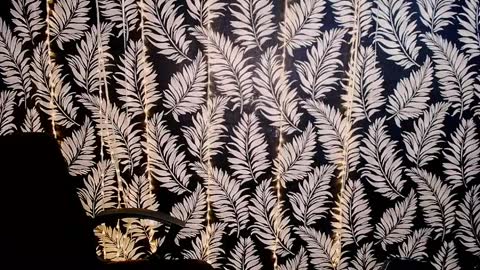 Kelly online show from 04/07/26, 10:37