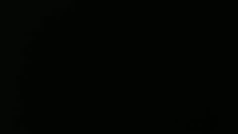 Snapshot of olli_5 chatting on 02/13/25, 11:17 olli_5 online show from 02/13/25, 11:17