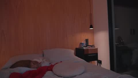 Snapshot of onelittlemermaid chatting on 12/27/24, 06:53 Ariel online show from 12/27/24, 06:53