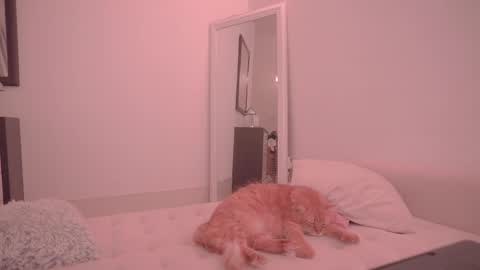 Snapshot of onelittlemermaid chatting on 10/18/25, 09:26 Ariel online show from 10/18/25, 09:26