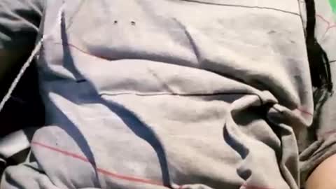 onlybigasses7 online show from 02/07/25, 12:39