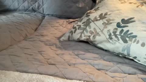 onthedlhere online show from 01/09/25, 07:18