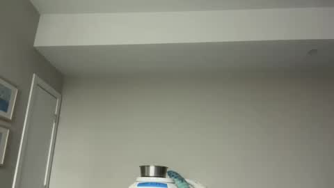 Horny and Bicurious online show from 04/07/26, 03:18