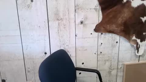 kinkynerd online show from 11/01/25, 03:25