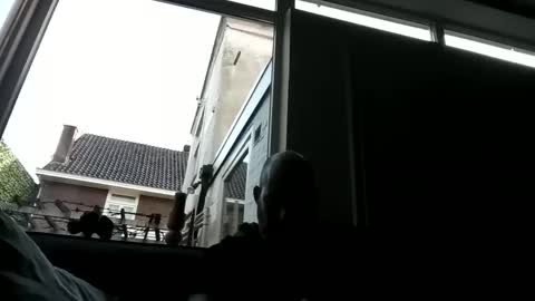 Openminded online show from 12/23/24, 09:38