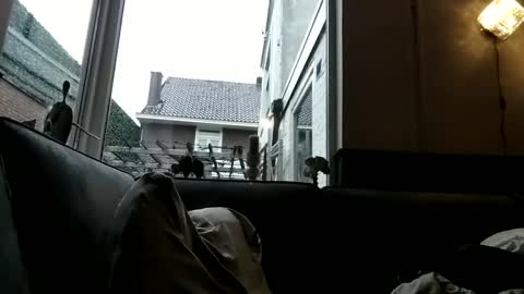 Openminded online show from 12/30/24, 09:05