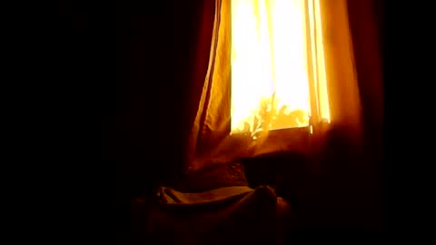 Opree online show from 01/31/26, 07:11