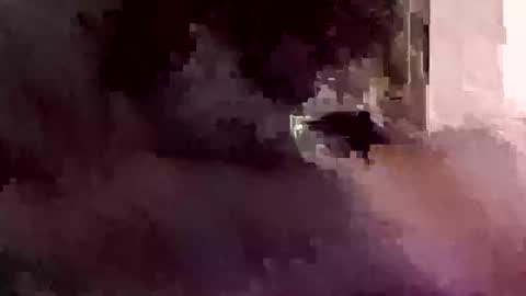 Foryourdick online show from 01/12/26, 07:46