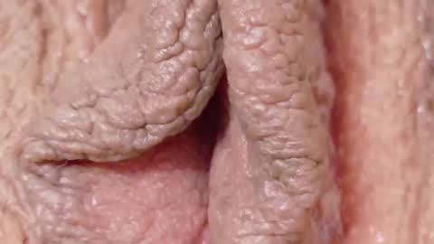 orchidekitty online show from 02/01/26, 09:13