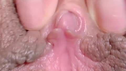 orchidekitty online show from 04/10/26, 11:20