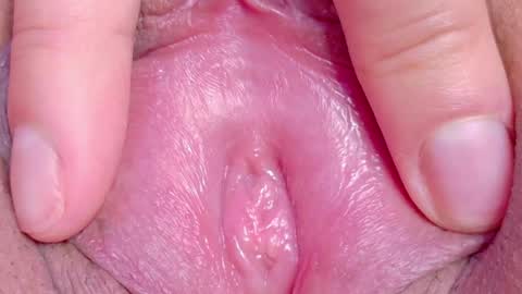 orchidekitty online show from 05/17/26, 09:44