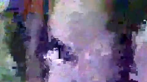 Snapshot of oretrail chatting on 02/11/25, 05:37 oretrail online show from 02/11/25, 05:37