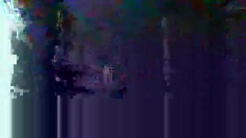 Snapshot of oretrail chatting on 02/25/25, 11:41 oretrail online show from 02/25/25, 11:41