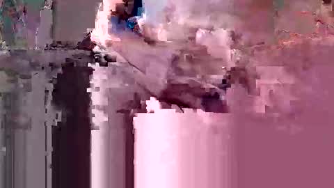 oretrail online show from 03/10/26, 10:48