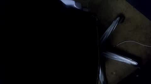 Snapshot of orgasmgiver9090 chatting on 11/07/25, 07:36 orgasmgiver9090 online show from 11/07/25, 07:36