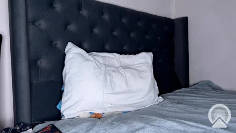 Snapshot of origamicat chatting on 01/26/25, 12:22 origamicat online show from 01/26/25, 12:22