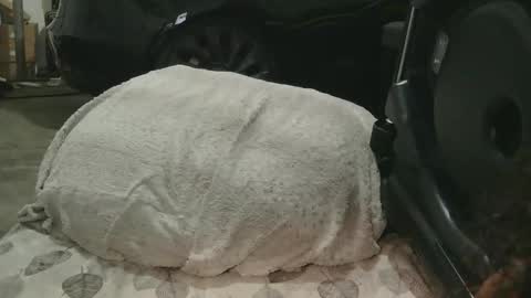 Snapshot of originalcali95 chatting on 12/15/25, 01:32 originalcali95 online show from 12/15/25, 01:32